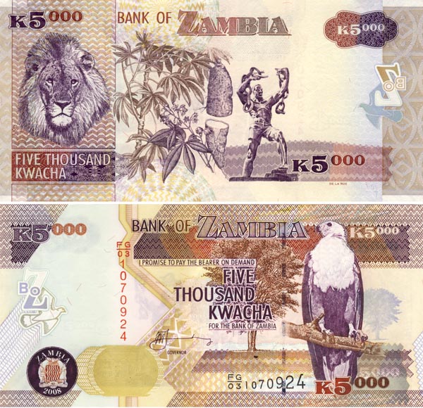 Бона. Замбия 5000 квача, 2008 год