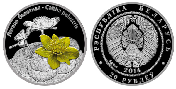 Беларусь 20 рублей, 2014 год. Цветы. Болотная калужница